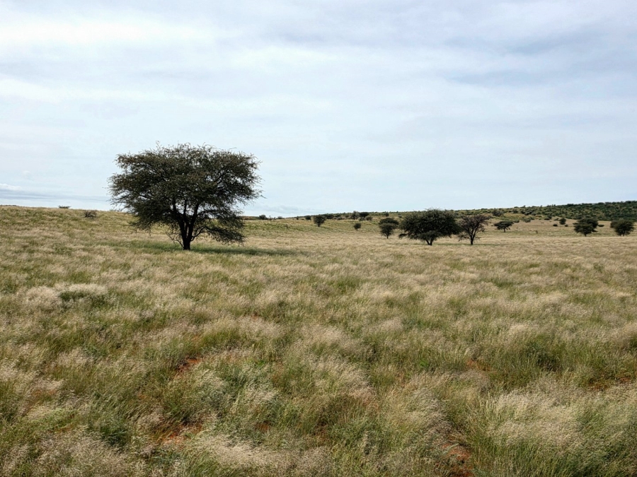 Commercial Property for Sale in Griekwastad Rural Northern Cape